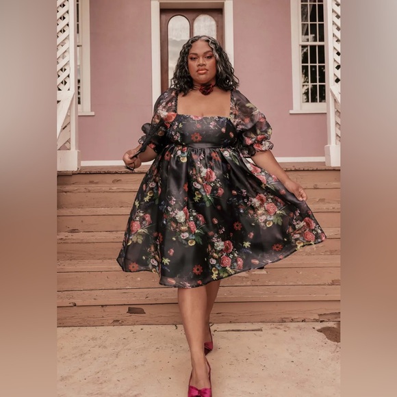 NWT JessaKae Polly Dress (2X) - Picture 5 of 12